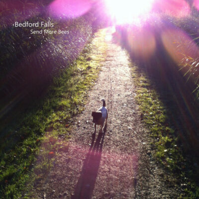 Send More Bees:  LP, Album, Blu + CD, Album