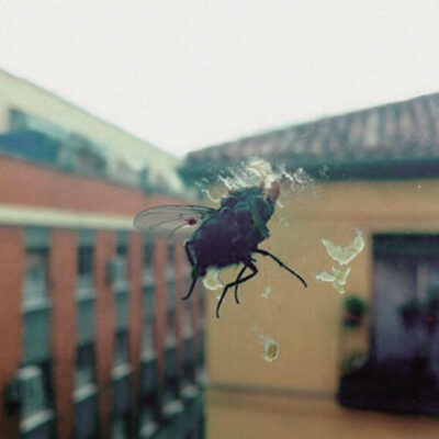 Biznaga - Gran Pantalla: CD, Album