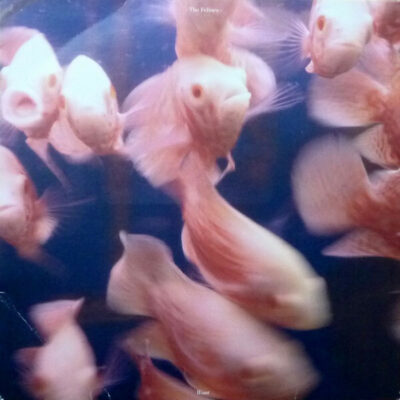 The Felines - Want: LP, Album