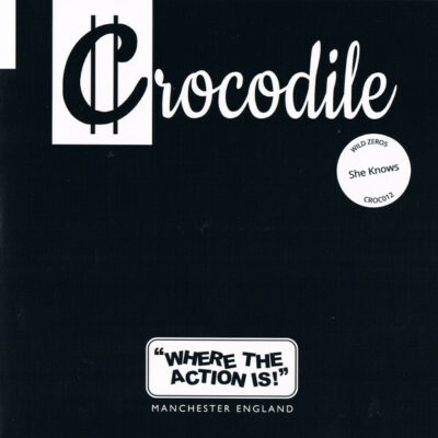 Wild Zeros - She Knows:  7", Single, Ltd