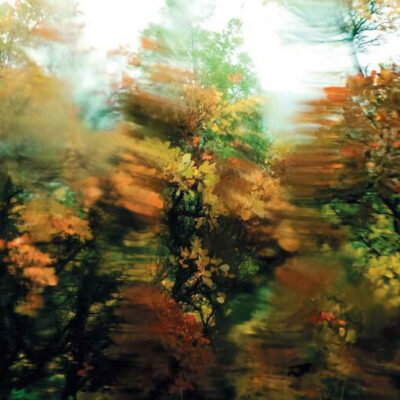 Alien Mustangs - The World As I Am:  7", Single, black