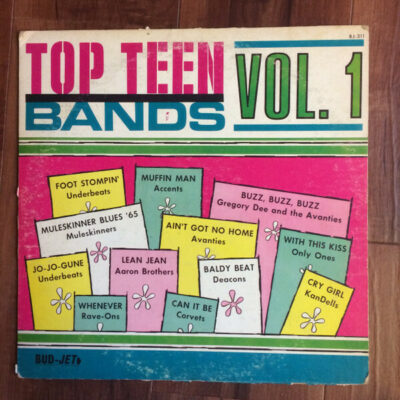Top Teen Bands Vol. 01:  CD, Comp