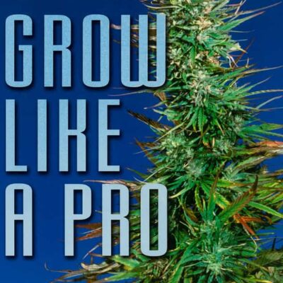Book: "GROW LIKE A PRO"