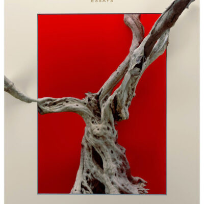 Book: "Death by Landscape"