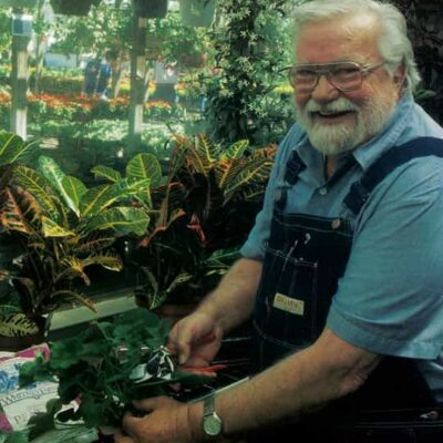 Book: "GARDENING INDOORS WITH CUTTINGS"