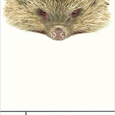 Book: "Chrono Trigger"