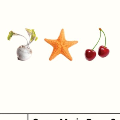 Book: "Super Mario Bros. 2"