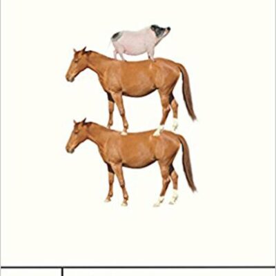 Book: "Bible Adventures"