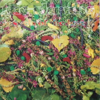 The Shrubs - Vessels Of The Heart: Vinyl, LP, Album
