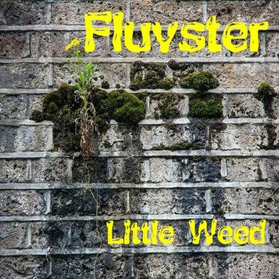 Fluvster - Little Weed: CD, Album