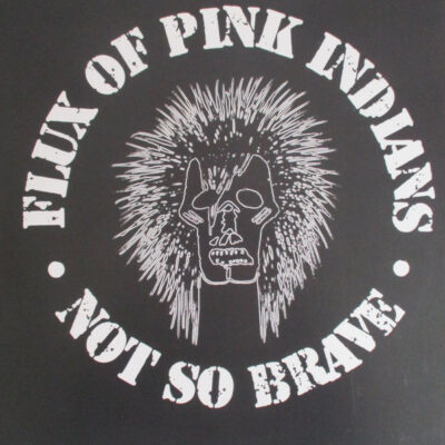 Flux Of Pink Indians - Not So Brave: Vinyl, LP, Compilation, Reissue