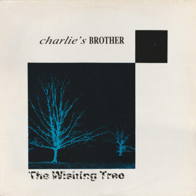 Charlie's Brother - The Wishing Tree:  New Wave, Synth-pop