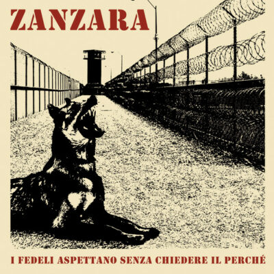 Zanzara - I Fedeli Aspettano Senza Chiedere Il Perché: Vinyl, LP, Album