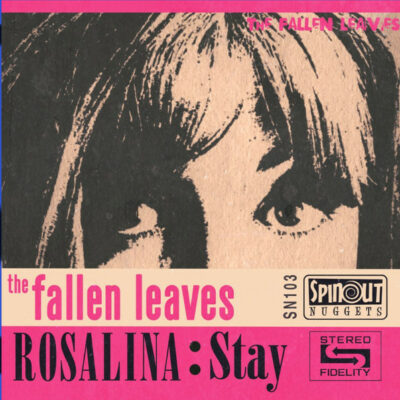 The Fallen Leaves - Rosalina : Stay: Vinyl, 7", 45 RPM, Limited Edition