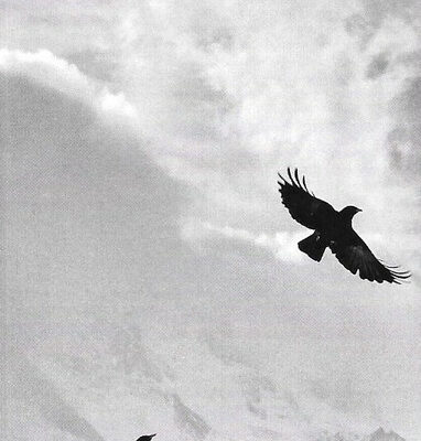 Great Shakes - Great Shakes: Cassette, Album, Limited Edition, Silver Cassette