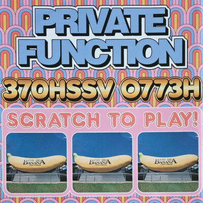 Private Function - 370HSSV 0773H: Vinyl, LP, Album, Repress, Rose