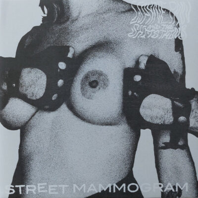 Wayne Pain And The Shit Stains - Street Mammogram: Vinyl, 7", 45 RPM, Limited Edition, Numbered