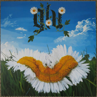 GLU - These Rotting Flowers: Vinyl, 12", 45 RPM, Album, Blue Smoke